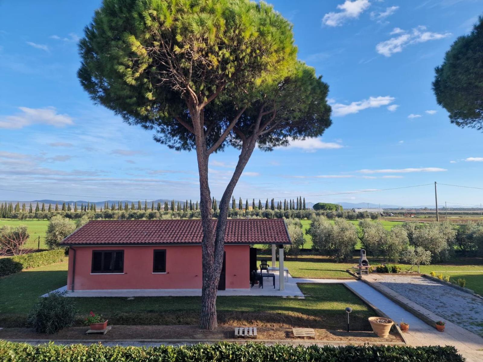 Agriturismo Nonno Gino - Charme&Relax Piombino Exteriér fotografie